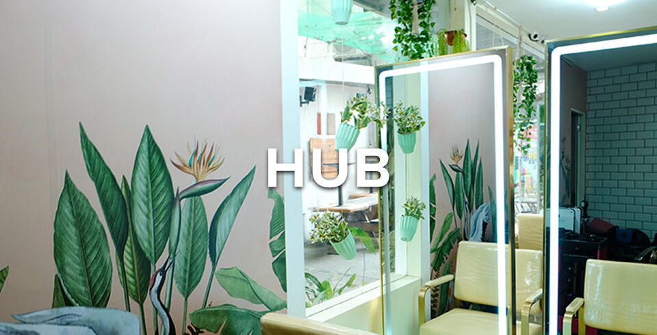 hub-benibana12